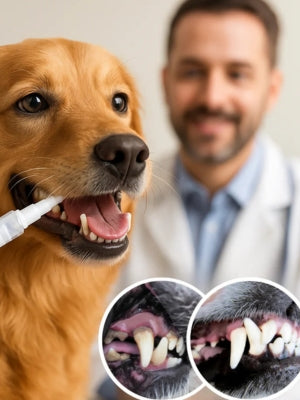 Lápiz Dental Para Perros | Oferta 2x1🦷🐶
