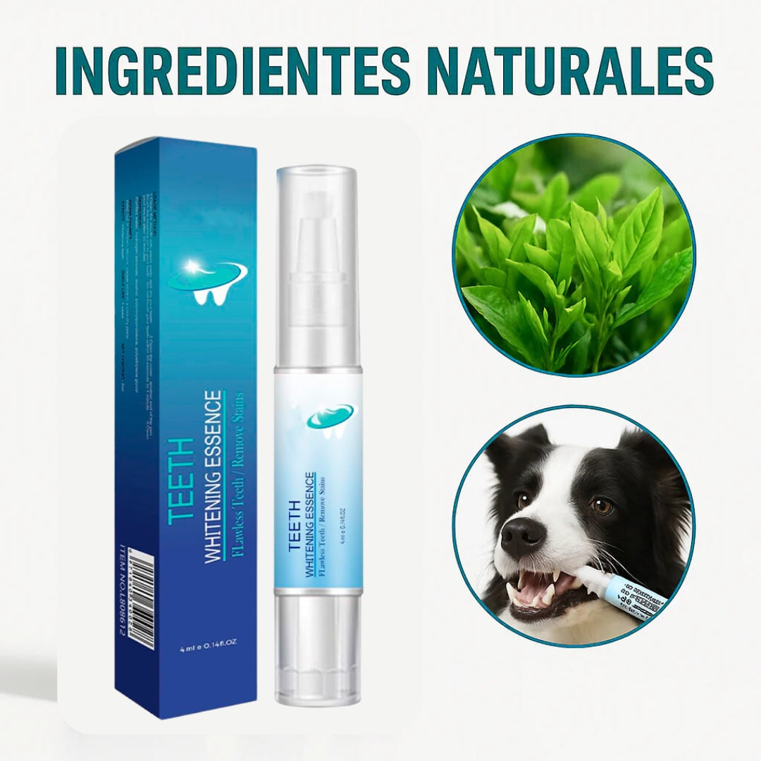 Lápiz Dental Para Perros | Oferta 2x1🦷🐶